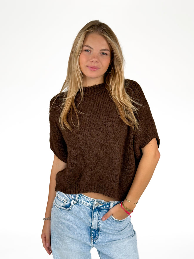 Noortje knit brown