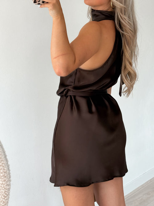 Emily dress brown